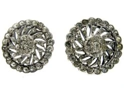 Paste Silver Earrings