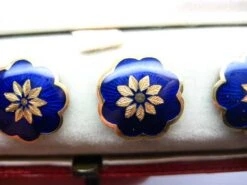 Victorian 18ct Gold & Blue Enamel Buttons In Original Case -Antique Jewellery Company 18C 1