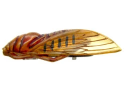 Art Nouveau Carved Horn Cicada Insect Brooch 7 Art Nouveau Carved Horn Cicada Insect Brooch -Antique Jewellery Company 9c1328119446 162
