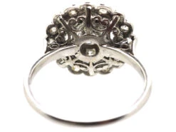 Early 20th Century Platinum, Diamond Daisy Cluster Ring With Outer Ring Of Diamonds -Antique Jewellery Company DSC01333