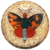 19th Century Scottish 9ct Gold Round Brooch With Butterfly Set With Agates 1 19th Century Scottish 9ct Gold Round Brooch With Butterfly Set With Agates -Antique Jewellery Company DSC04871