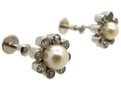 Edwardian 18ct White Gold, Natural Pearl & Diamond Daisy Earrings -Antique Jewellery Company DSC05049