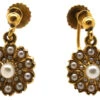 Edwardian 15ct Gold Pearl Flower Cluster Earrings -Antique Jewellery Company DSC05098