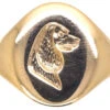 9ct Gold Signet Ring With Intaglio Of A Spaniel 1 9ct Gold Signet Ring With Intaglio Of A Spaniel -Antique Jewellery Company DSC06493