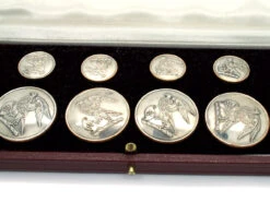 Victorian Set Of Silver Dress Buttons In Case By Firmin & Sons -Antique Jewellery Company DSC07352