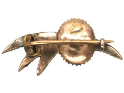 Georgian Halley’s Comet Brooch -Antique Jewellery Company DSC07414 1
