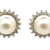 14ct White Gold, Pearl & Diamond Cluster Earrings -Antique Jewellery Company ac967bbb dsc05344