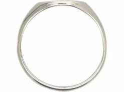 18ct White Gold Signet Ring With Intaglio Of A Griffin 10 18ct White Gold Signet Ring With Intaglio Of A Griffin -Antique Jewellery Company ad3535f4 dsc01396 scaled 1