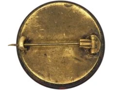 Victorian Hard Stone Brooch -Antique Jewellery Company fb924943 dsc06560